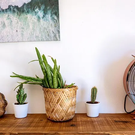 Surf & In By Lisbeyond * Aljezur